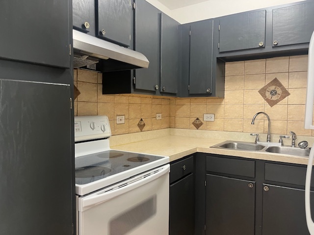 2300 Light Road, Unit 109 Oswego, IL 60543 - Photo 10 of 16 a kitchen with a sink and cabinets