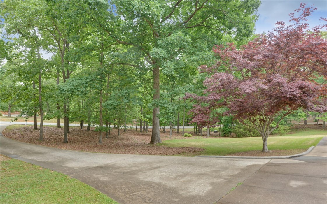 320 Ridgewood Drive Hartwell, GA 30643 - Photo 24 of 27 Gallery Image 24