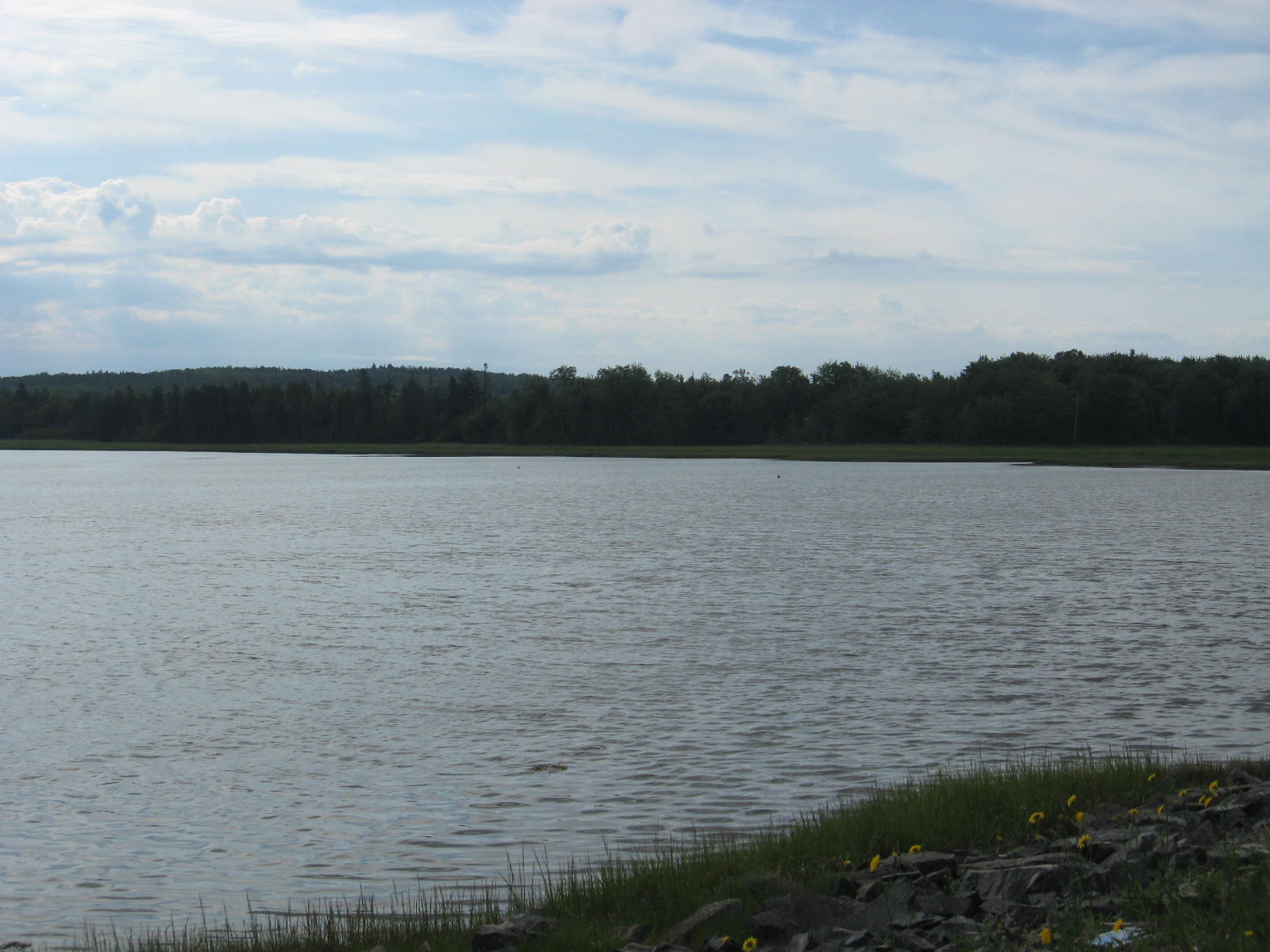 0 East Side Road Addison, ME 04606 - Photo 1 of 7 IMG_0001