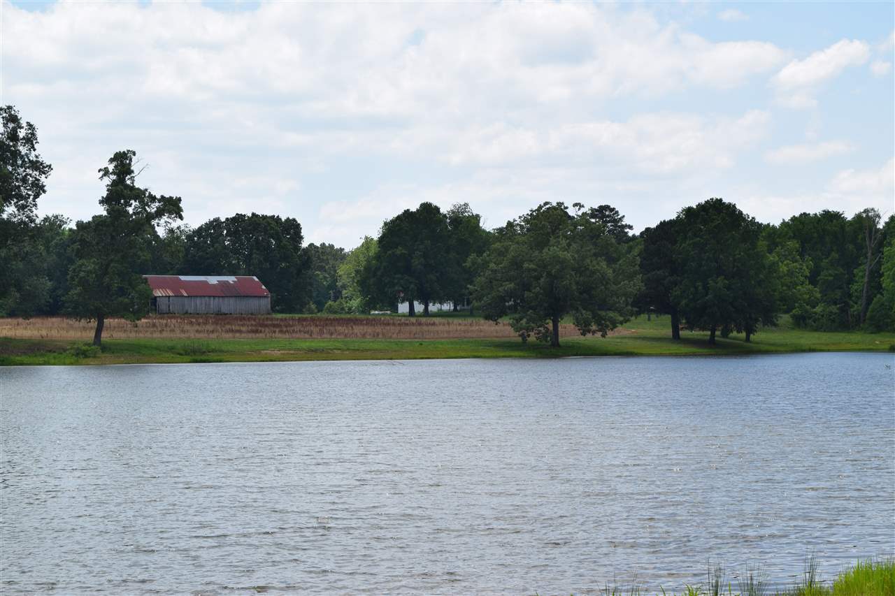 0 Lagrange Road Somerville, TN 38068 - Photo 3 of 10 Gallery Image 3