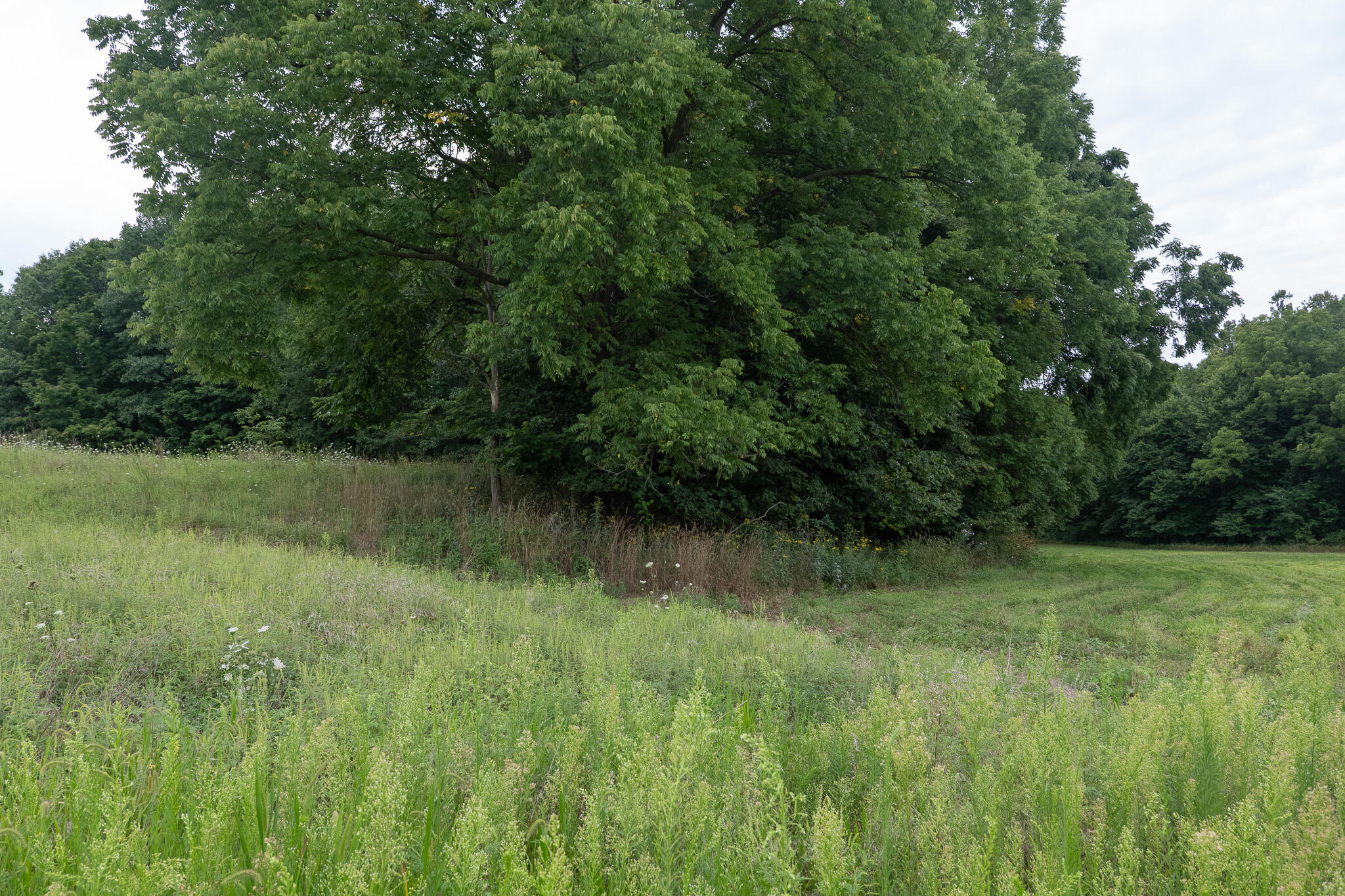 12680 Day Road Hudson, MI 49247 - Photo 56 of 77 P1101079
