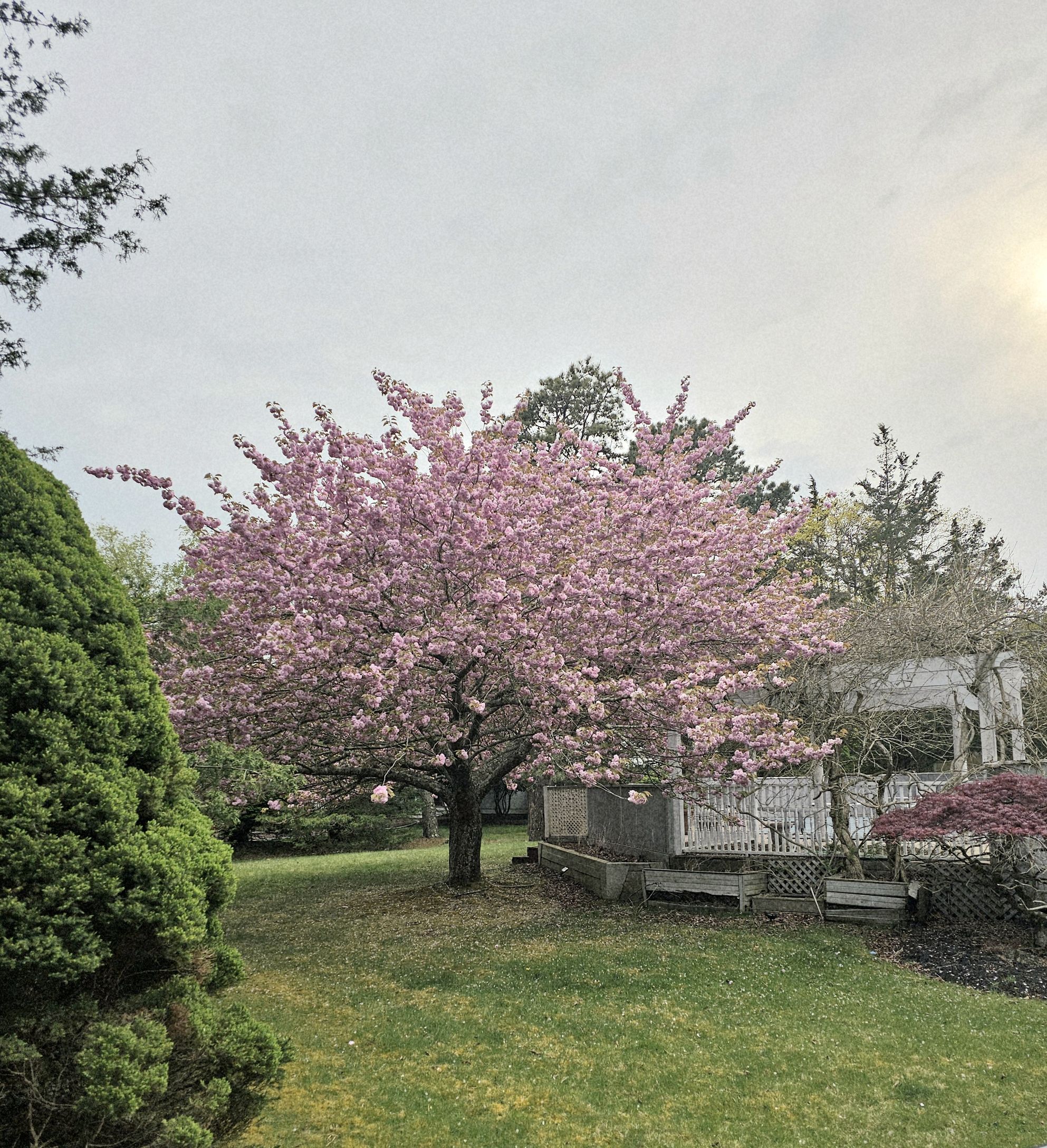 8 Fiddler Crab Trail Westhampton, NY 11977 - Photo 32 of 36