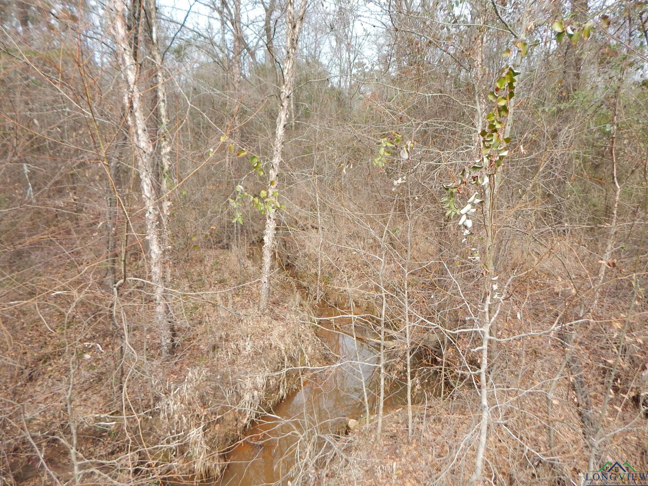 11.72 Acres George Richey Road White Oak, TX 75693 - Photo 7 of 17 Gallery Image 7