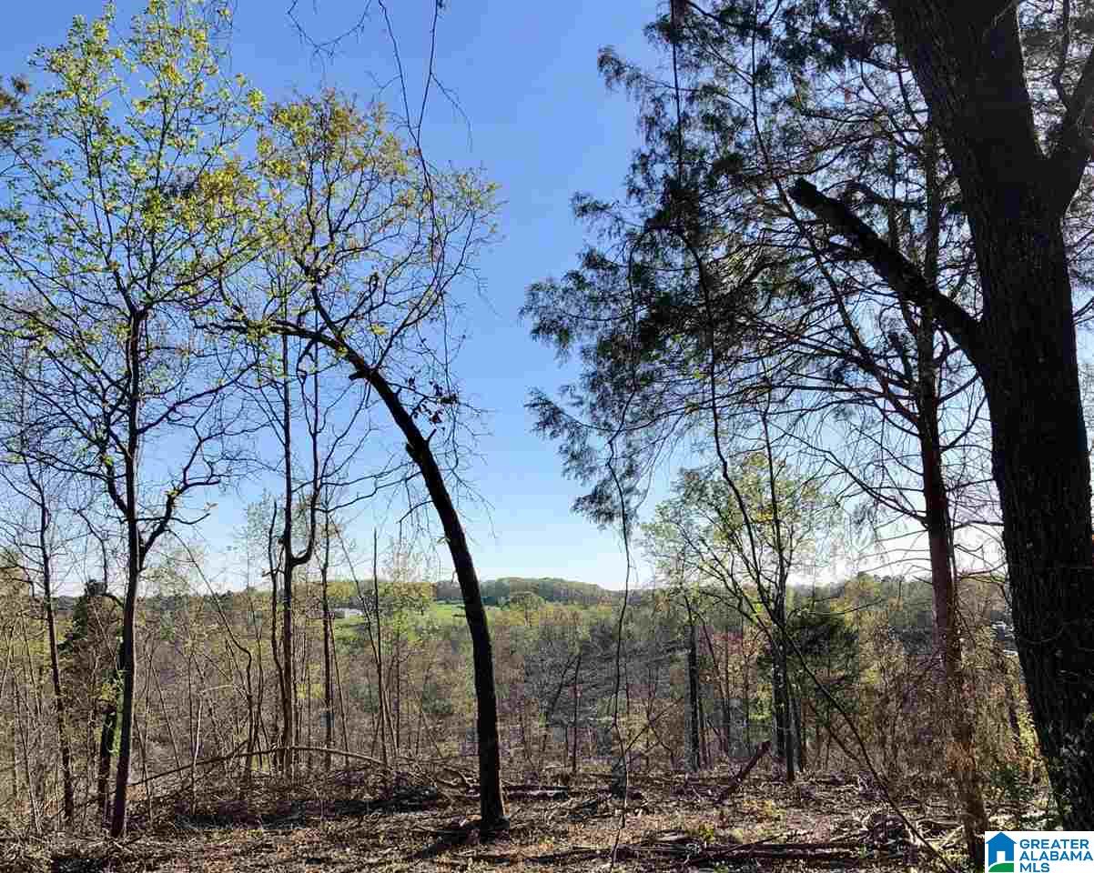 43-acres Wills Farm Road, Unit 43 ACRES Lincoln, AL 35096 - Photo 9 of 19