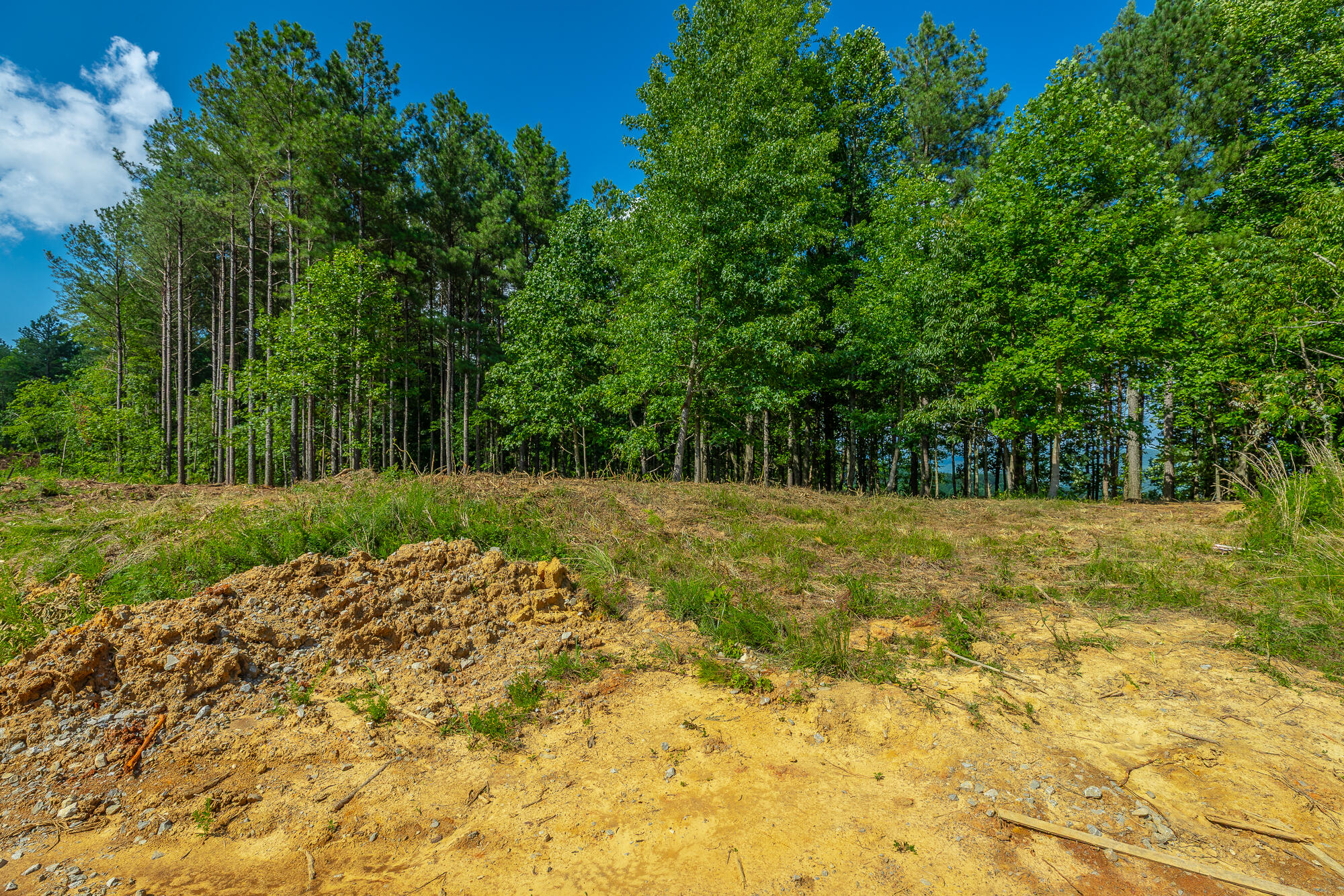 0 High Ground Road, Unit 2222 Guild, TN 37340 - Photo 29 of 110 0 High Ground Road Lot 2222 HD-55