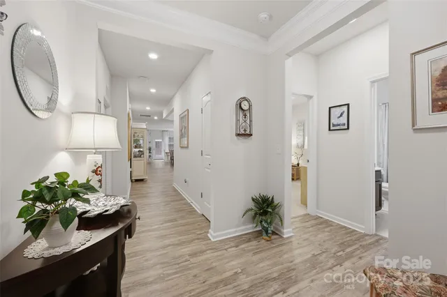 a view of a hallway with wooden floor and a potted plant