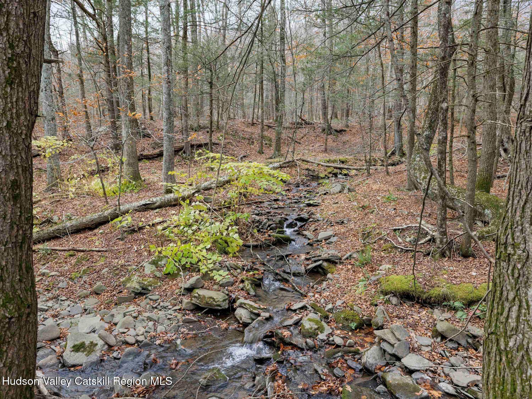 259 Silver Hollow Road Willow, NY 12495 - Photo 25 of 28 a backyard of a house with lots of green space
