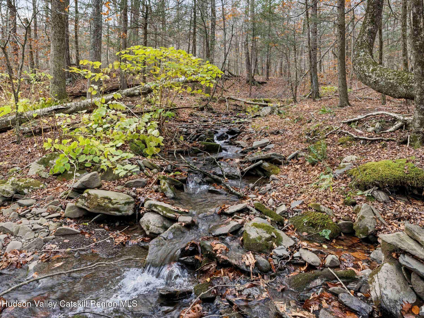 259 Silver Hollow Road Willow, NY 12495 - Photo 3 of 28 a view of a garden with large trees