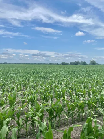 $620,500 | 5604 Fm 2431 Street, Bay City, TX 77414