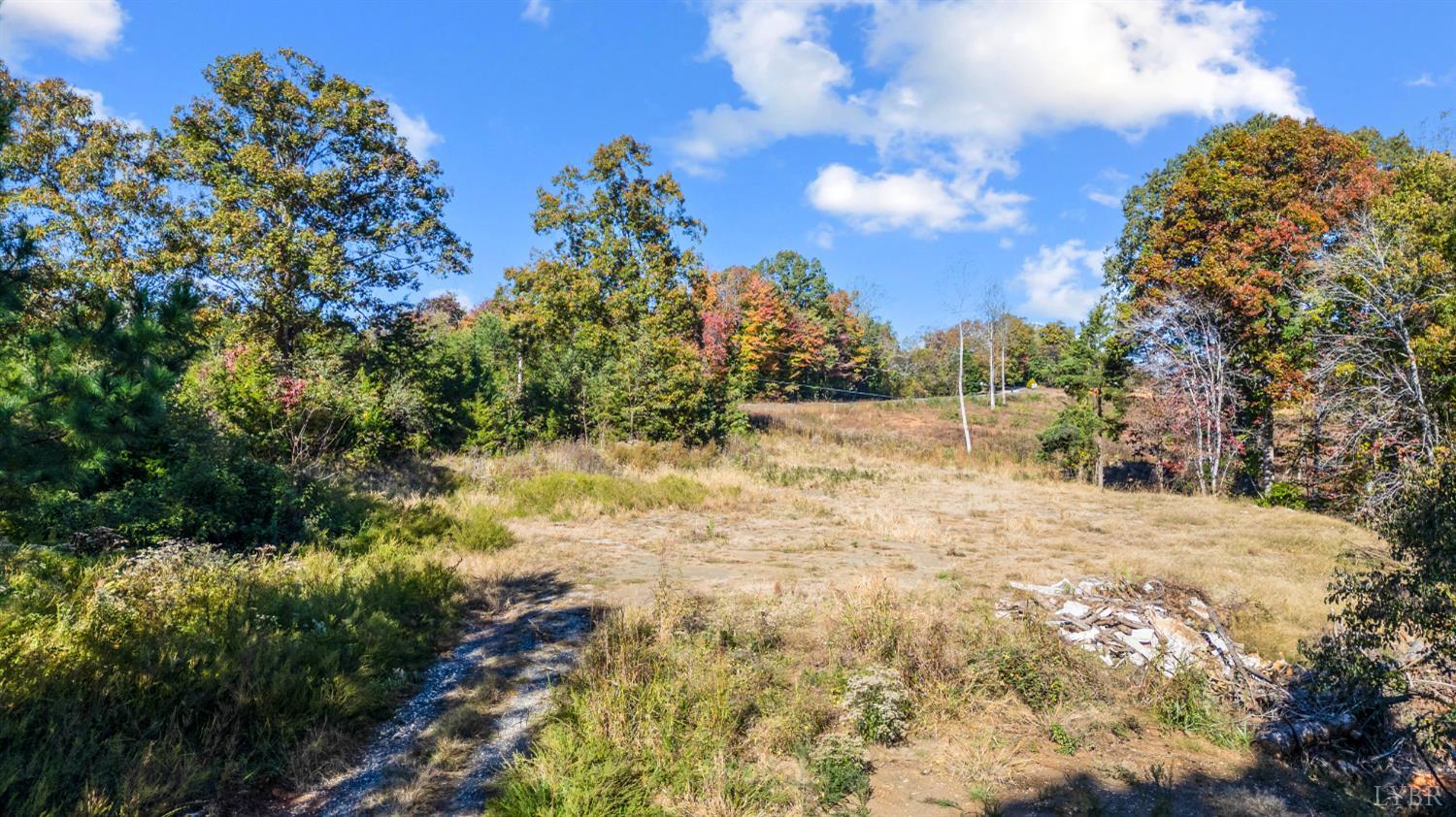 1848 Elon Road Madison Heights, VA 24572 - Photo 17 of 25