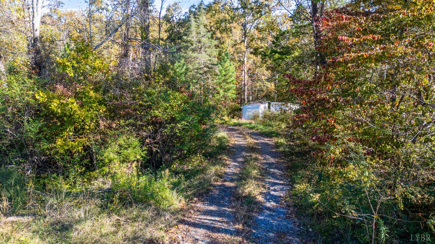 1848 Elon Road Madison Heights, VA 24572 - Photo 18 of 25