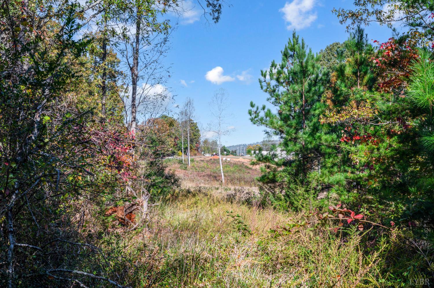 1848 Elon Road Madison Heights, VA 24572 - Photo 20 of 25