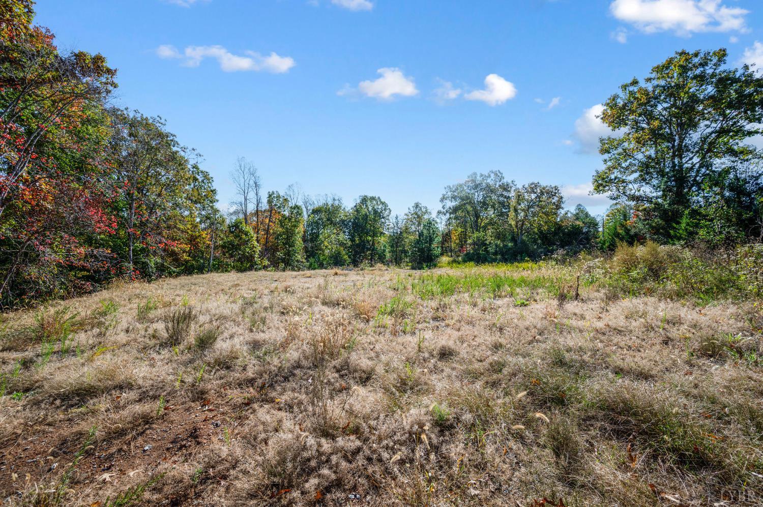 1848 Elon Road Madison Heights, VA 24572 - Photo 24 of 25