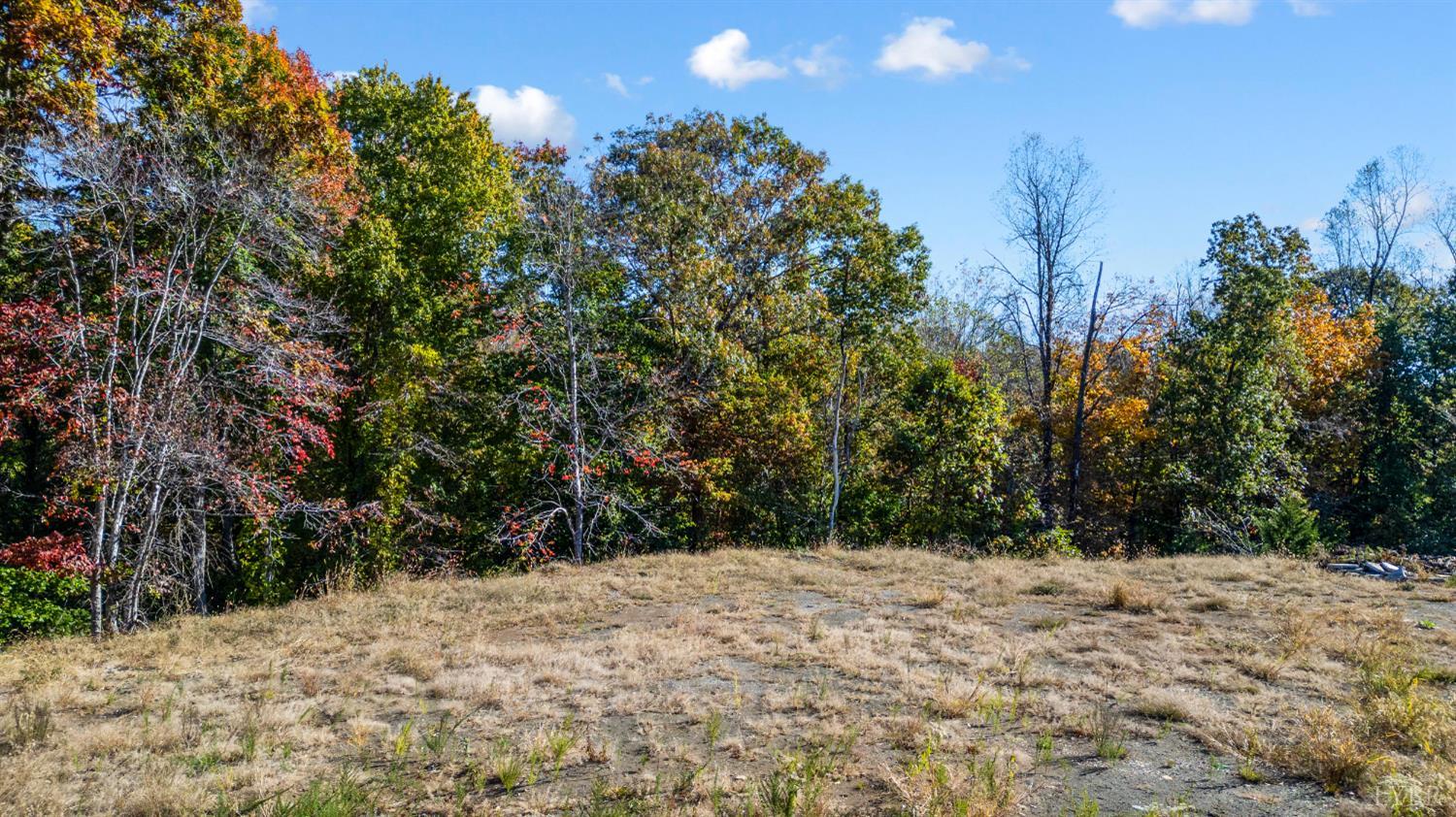 1848 Elon Road Madison Heights, VA 24572 - Photo 25 of 25