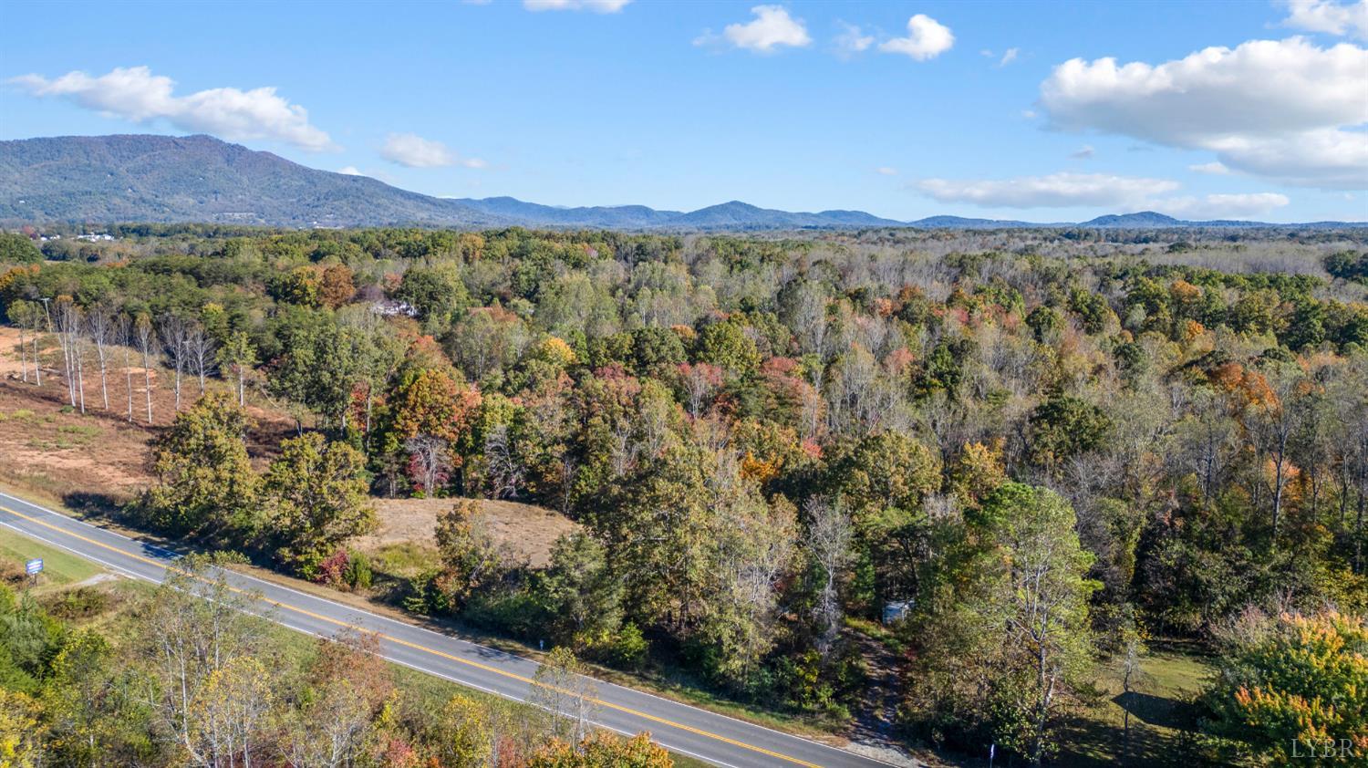 1848 Elon Road Madison Heights, VA 24572 - Photo 5 of 25