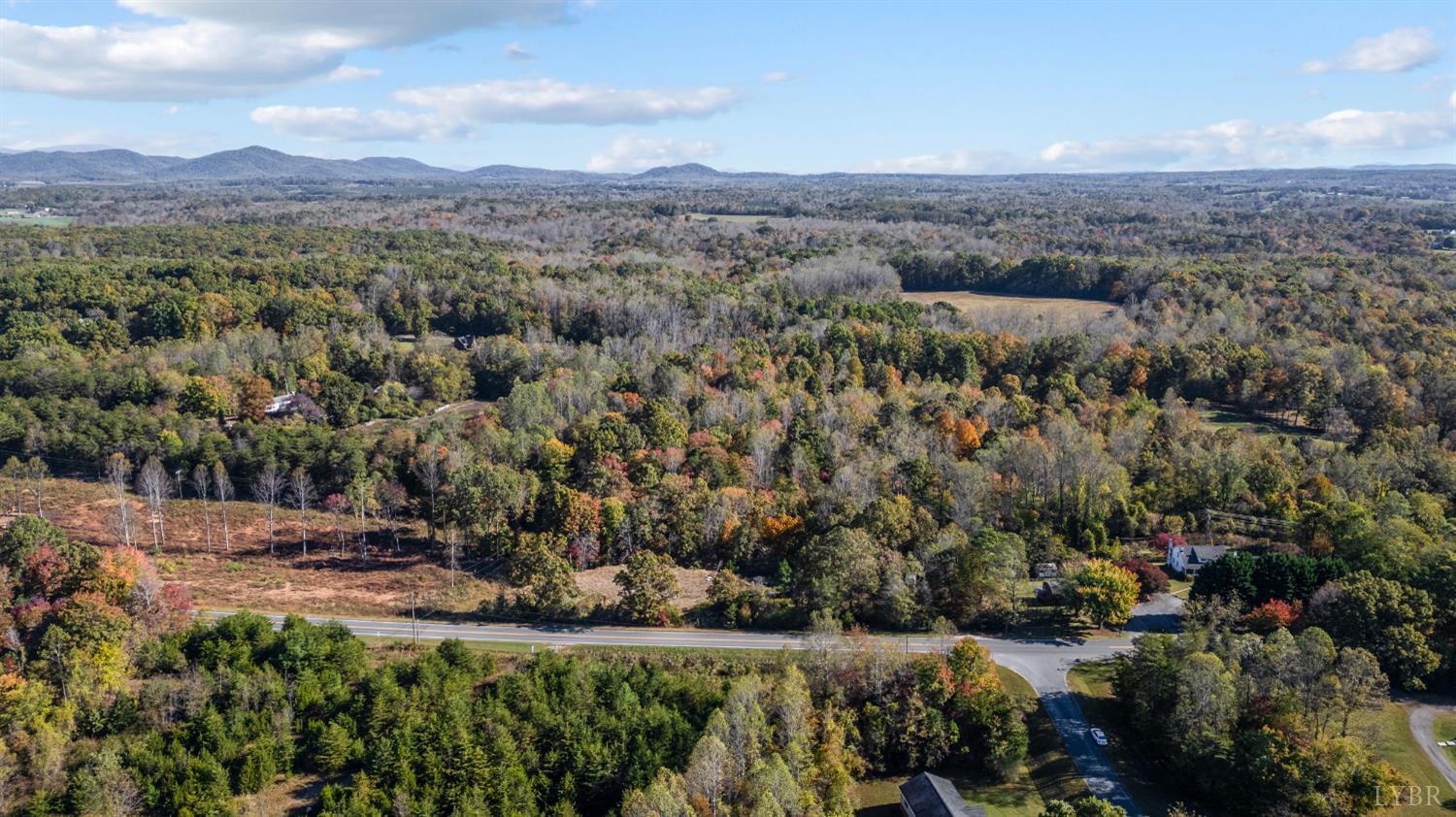 1848 Elon Road Madison Heights, VA 24572 - Photo 6 of 25