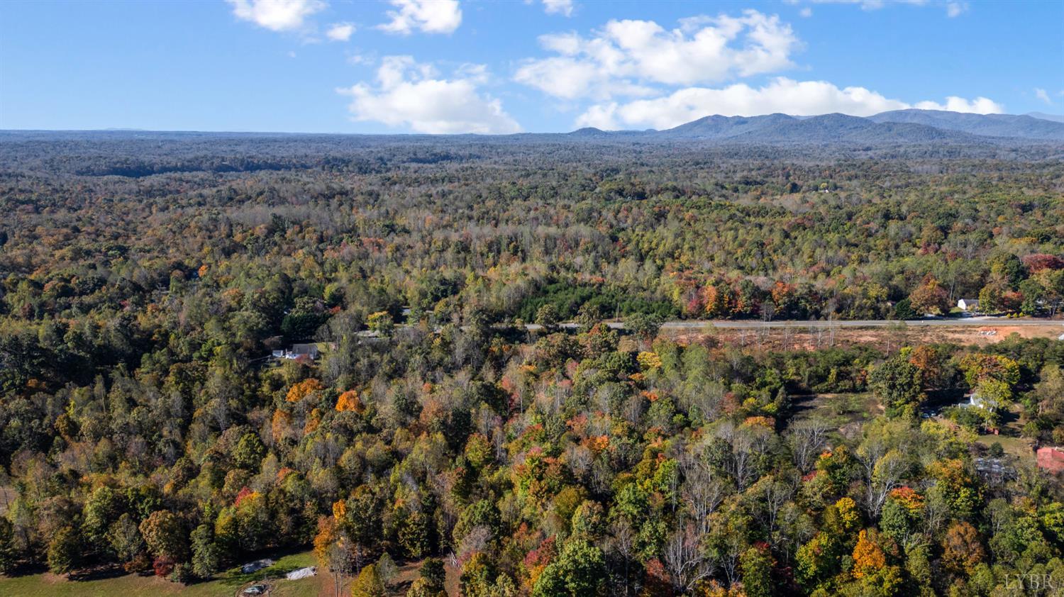 1848 Elon Road Madison Heights, VA 24572 - Photo 10 of 25