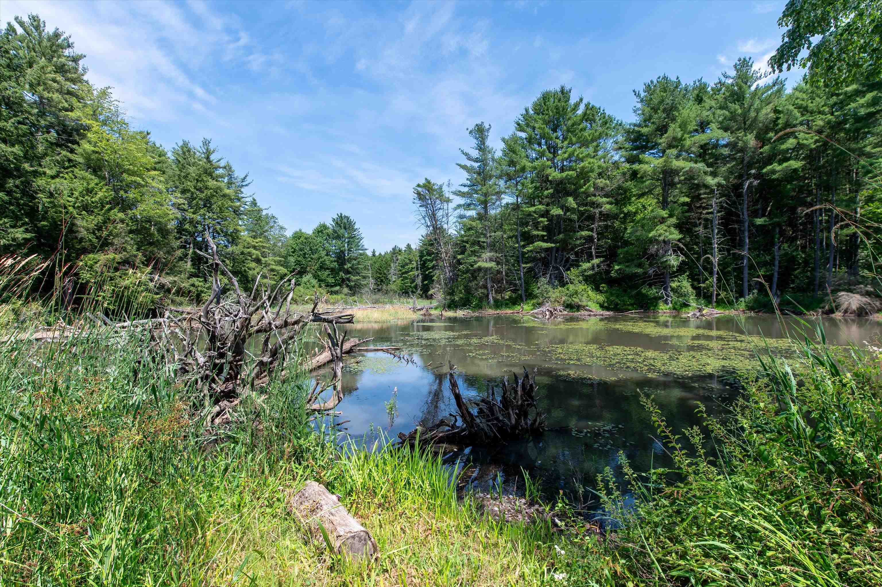 170 Needham Hill Road Orwell, VT 05760 - Photo 52 of 58
