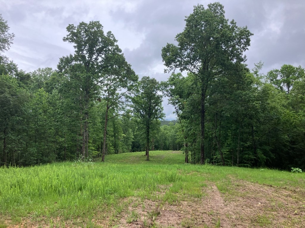 213 Wynn Ferry Road Big Sandy, TN 38221 - Photo 2 of 11