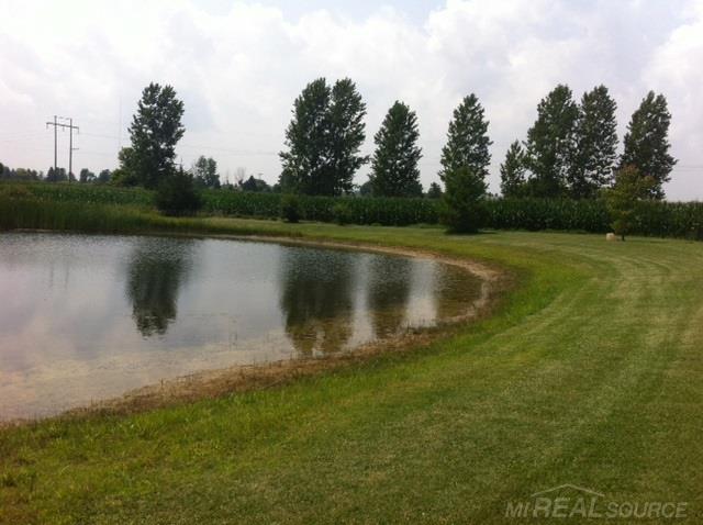 5685 Wellman Line Road Croswell, MI 48422 - Photo 23 of 24