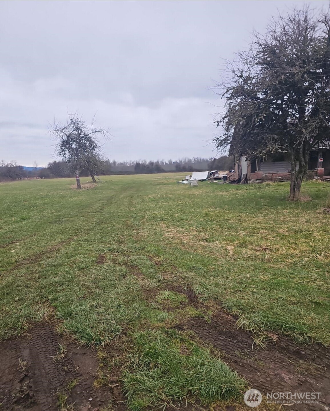 673 Monte Elma Road Montesano, WA 98563 - Photo 10 of 10 a view of a big yard with a lake view and mountain view