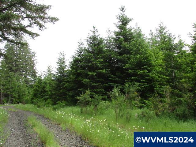 0 Northwest Fairdale Road Yamhill, OR 97148 - Photo 13 of 27