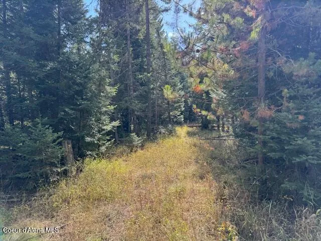 $85,000 | Nka Sanders Road, St. Maries, ID 83861