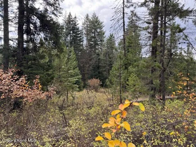 $79,500 | Nka Sanders Road, St. Maries, ID 83861