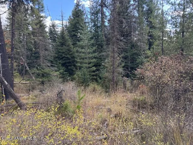$79,500 | Nka Sanders Road, St. Maries, ID 83861