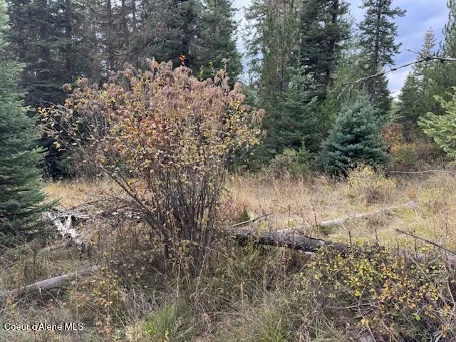 $79,500 | Nka Sanders Road, St. Maries, ID 83861