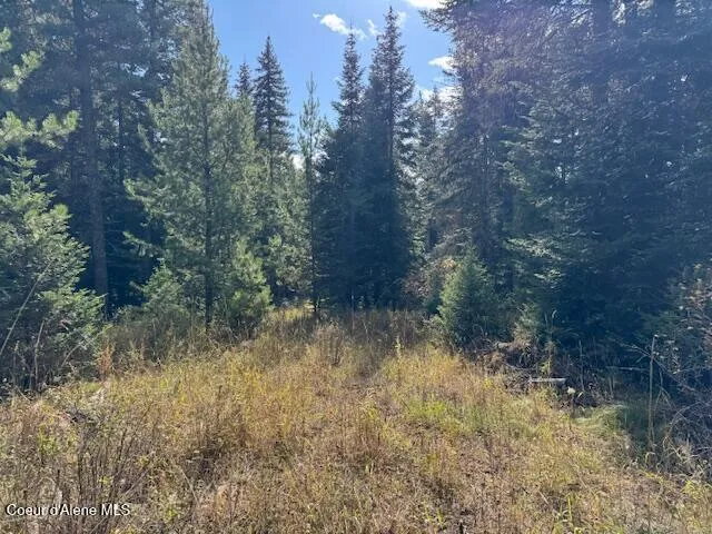 $79,500 | Nka Sanders Road, St. Maries, ID 83861