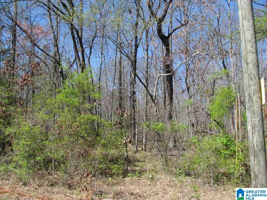 1555 Lynch Lake Road, Unit 8 Odenville, AL 35120 - Photo 1 of 1