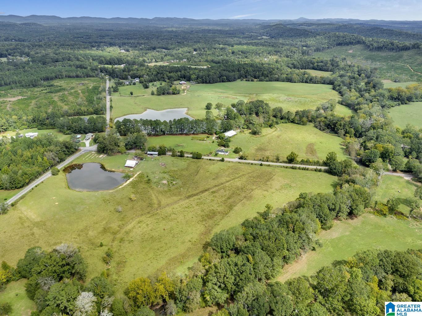 44 Nunnally Lake Road Ohatchee, AL 36271 - Photo 30 of 90