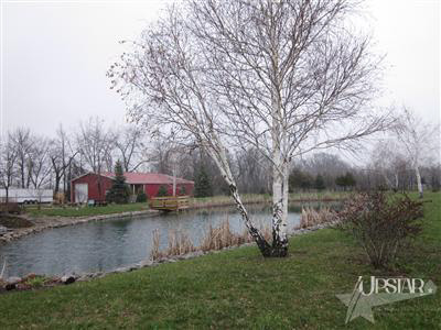 13805 McArdle Road Monroeville, IN 46773 - Photo 4 of 25