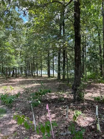 $89,000 | Undisclosed Address, Natchitoches, LA 71457