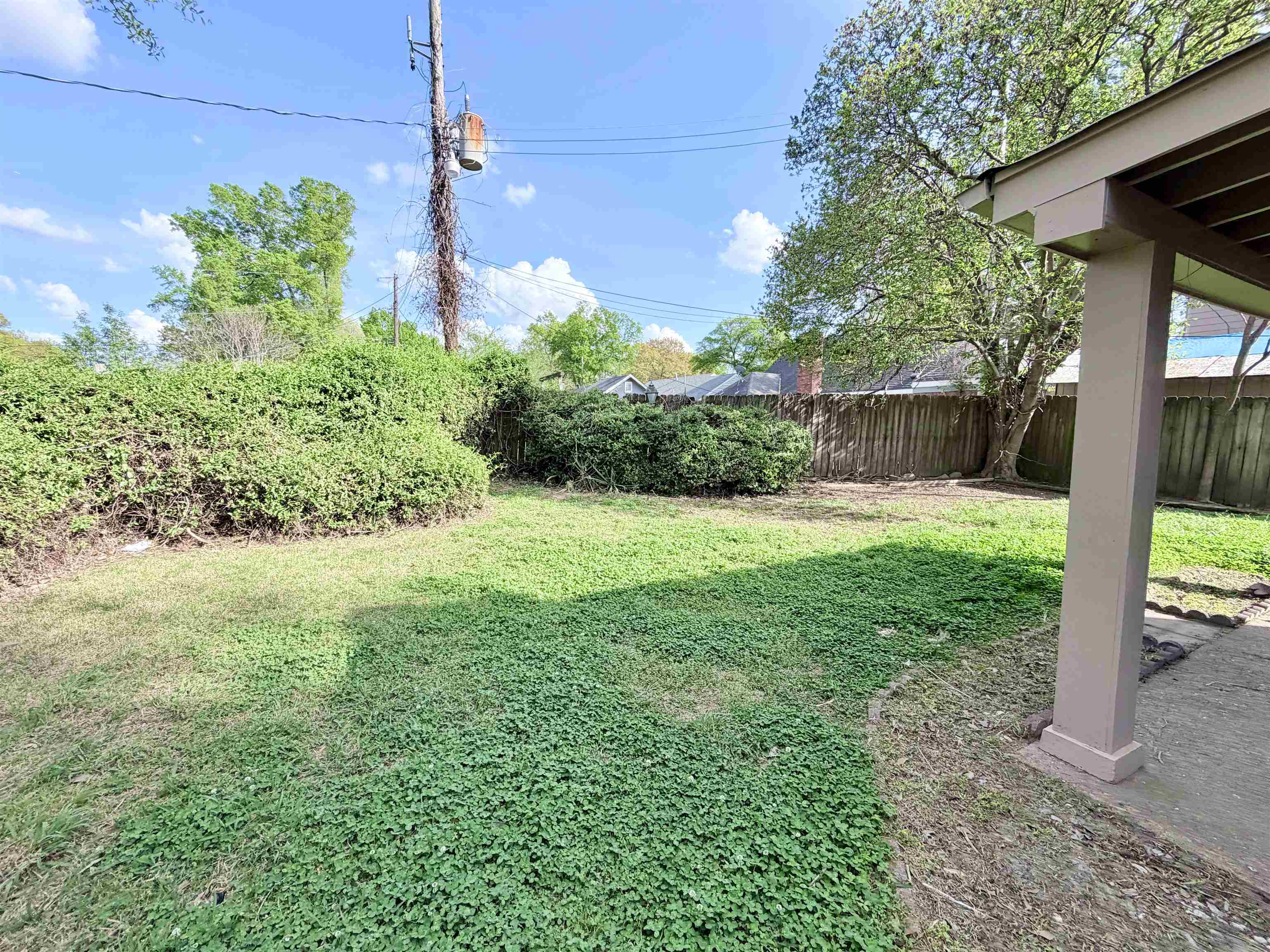 3118 Estes Street Memphis, TN 38115 - Photo 29 of 32 a view of a backyard with plants