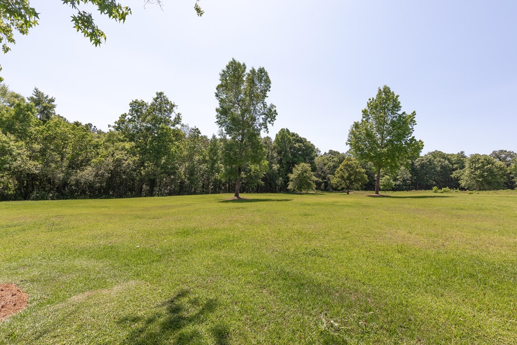 431 Johnny Murphy Road Dothan, AL 36301 - Photo 37 of 46
