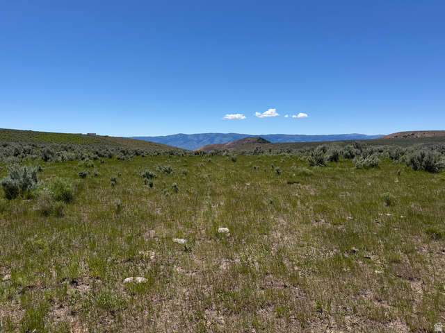 Mud Springs St. Charles, ID 83272 - Photo 22 of 29