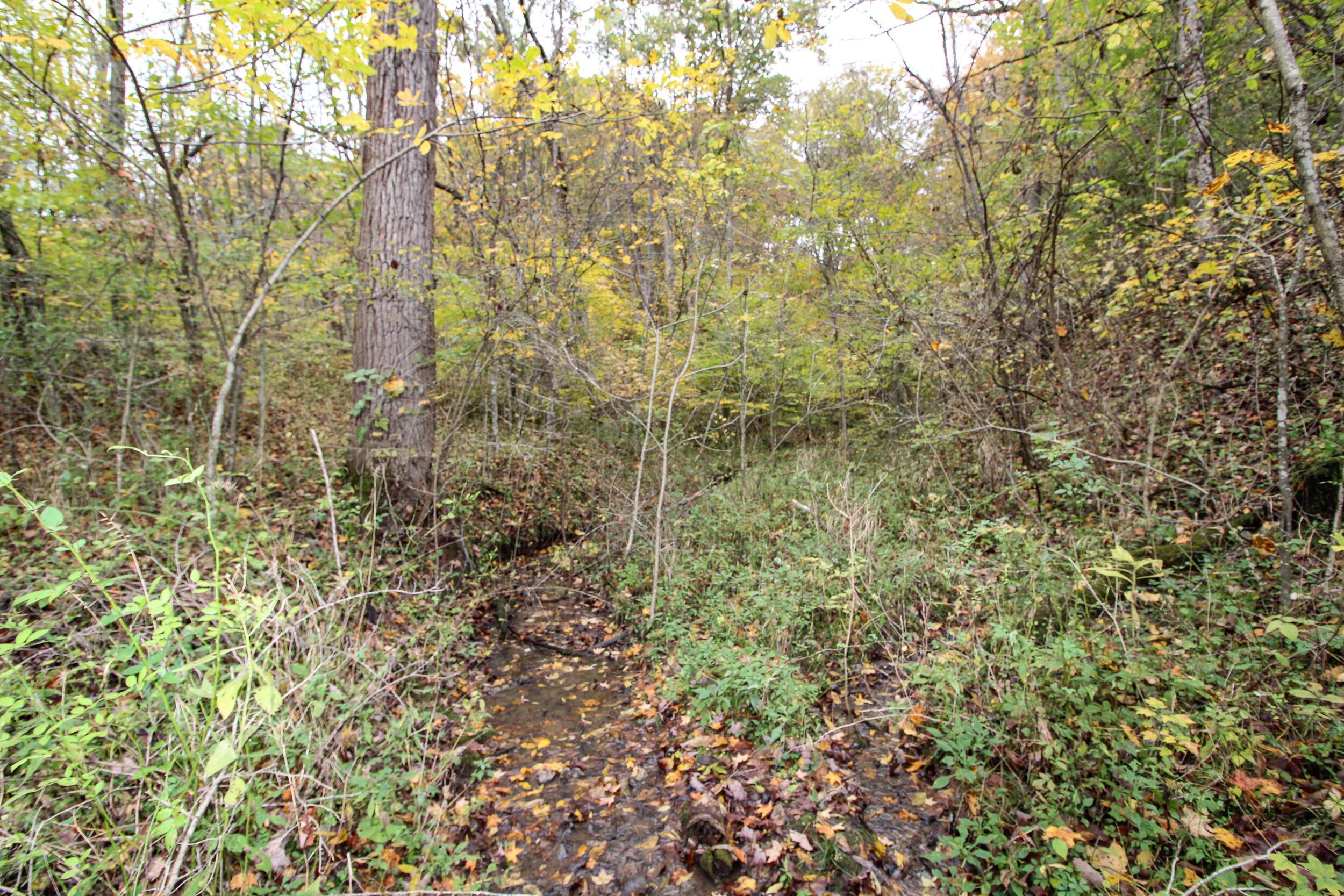 0 Lightner Ridge Road Stockport, OH 43787 - Photo 20 of 43 Gallery Image 20