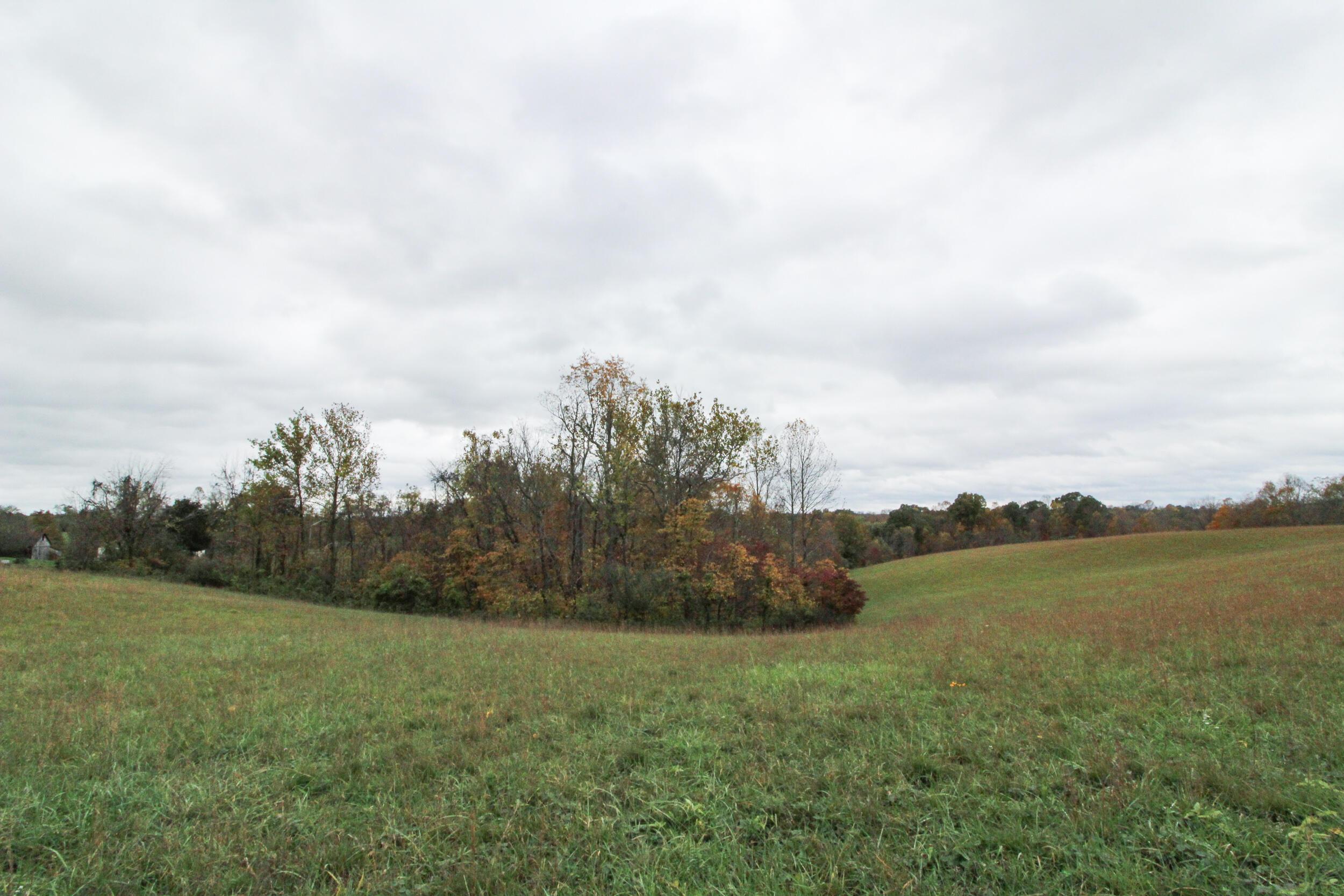 0 Lightner Ridge Road Stockport, OH 43787 - Photo 3 of 43 Gallery Image 3