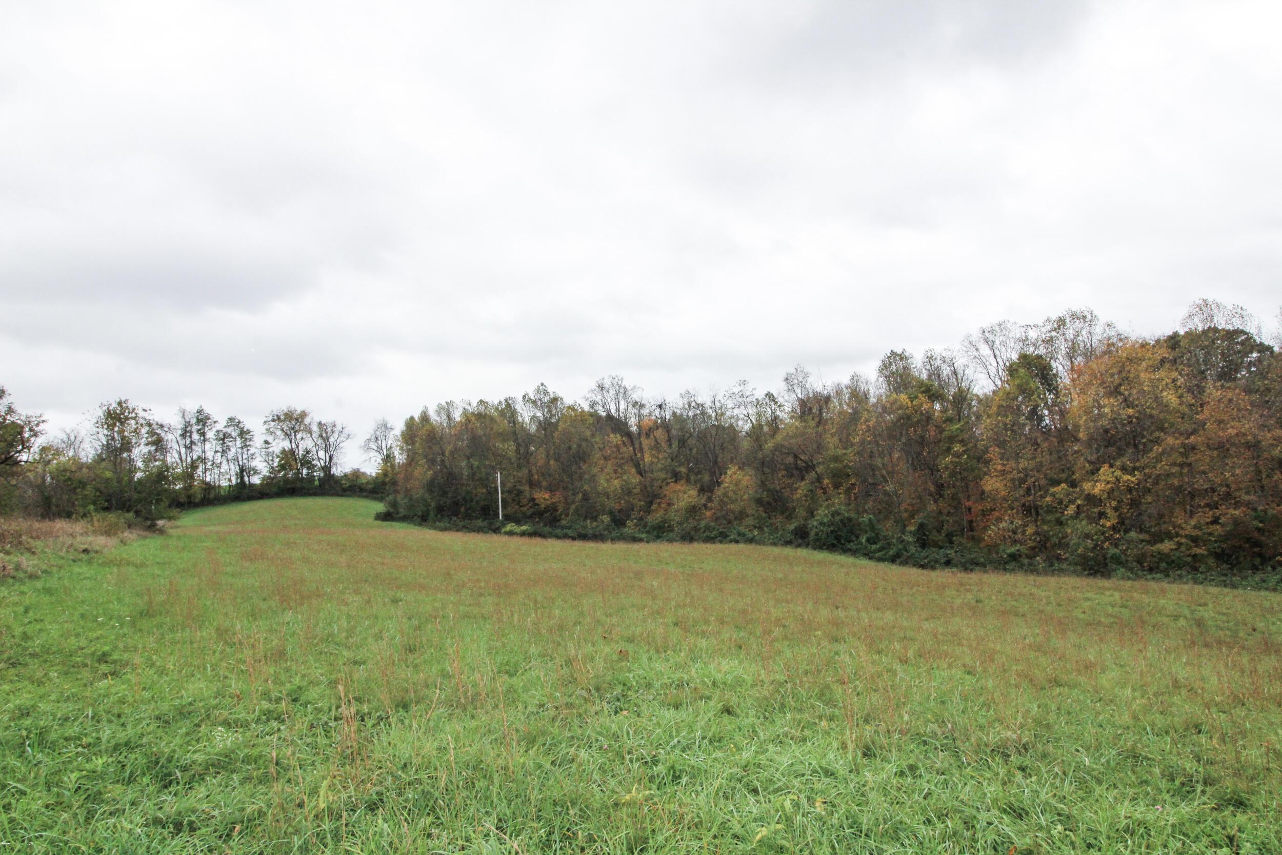 0 Lightner Ridge Road Stockport, OH 43787 - Photo 35 of 43 Gallery Image 35