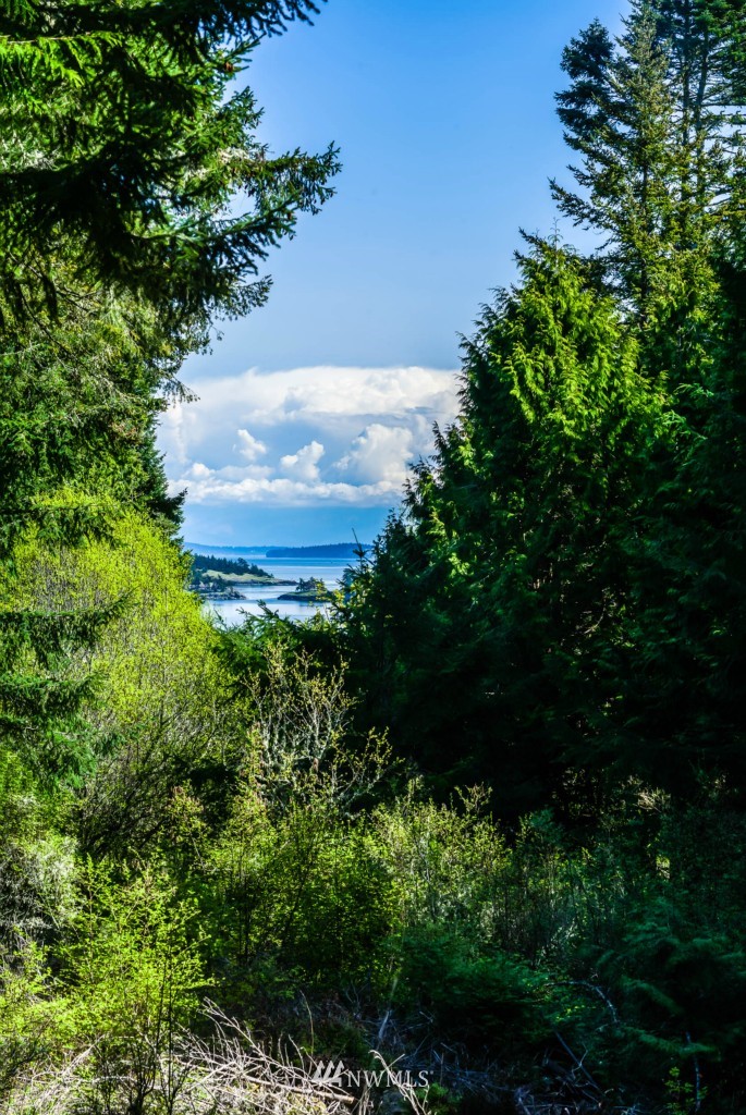 873 Elliott Road Lopez Island, WA 98261 - Photo 2 of 19