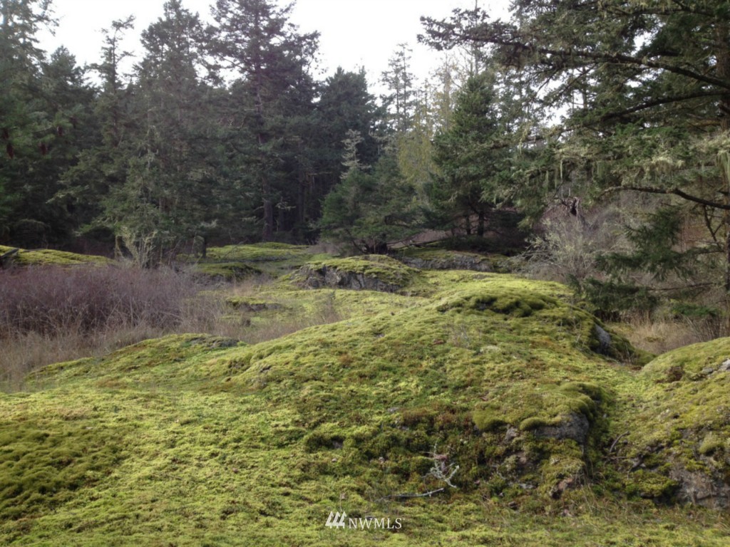 873 Elliott Road Lopez Island, WA 98261 - Photo 16 of 19
