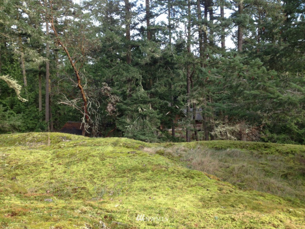 873 Elliott Road Lopez Island, WA 98261 - Photo 17 of 19