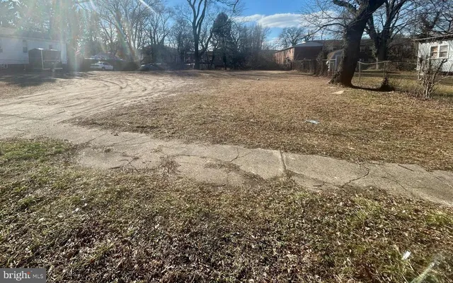 a view of a yard with trees