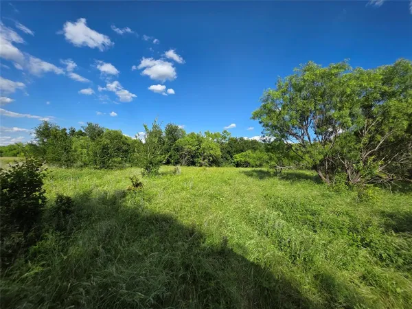 a view of a bunch of trees
