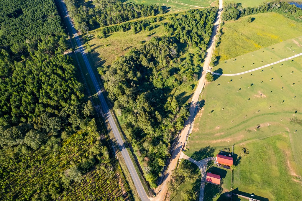 2226 Randall Wade Road Headland, AL 36345 - Photo 57 of 60