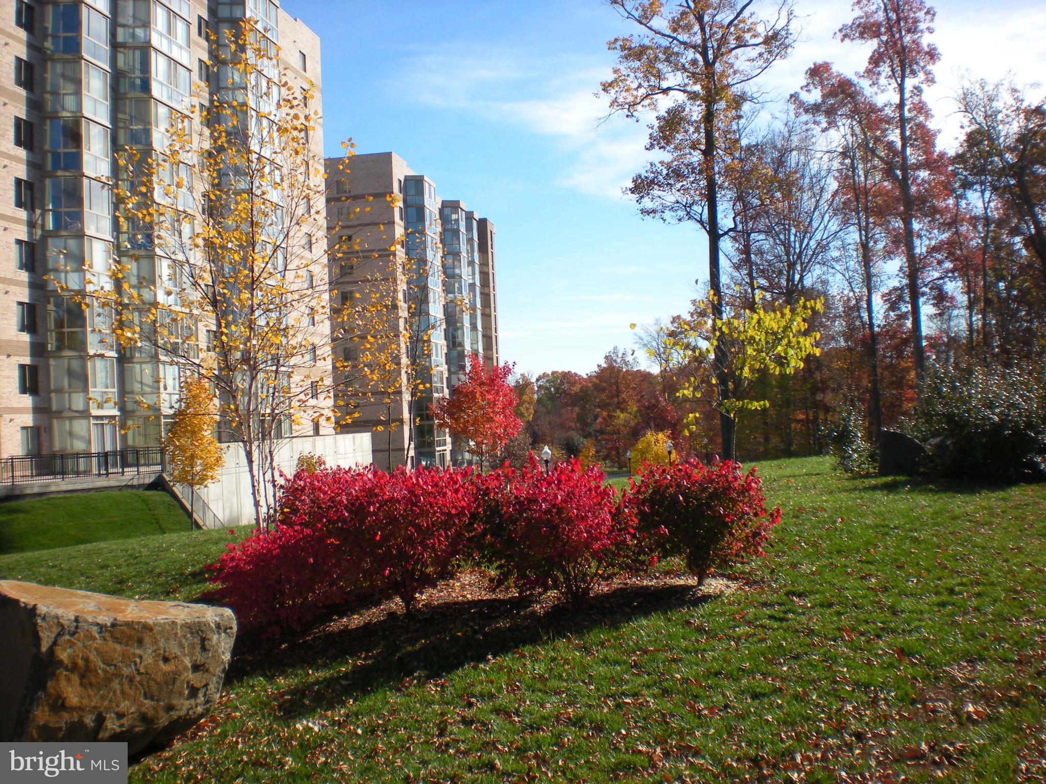 19355 Cypress Ridge Terrace, Unit 812 Leesburg, VA 20176 - Photo 42 of 42
