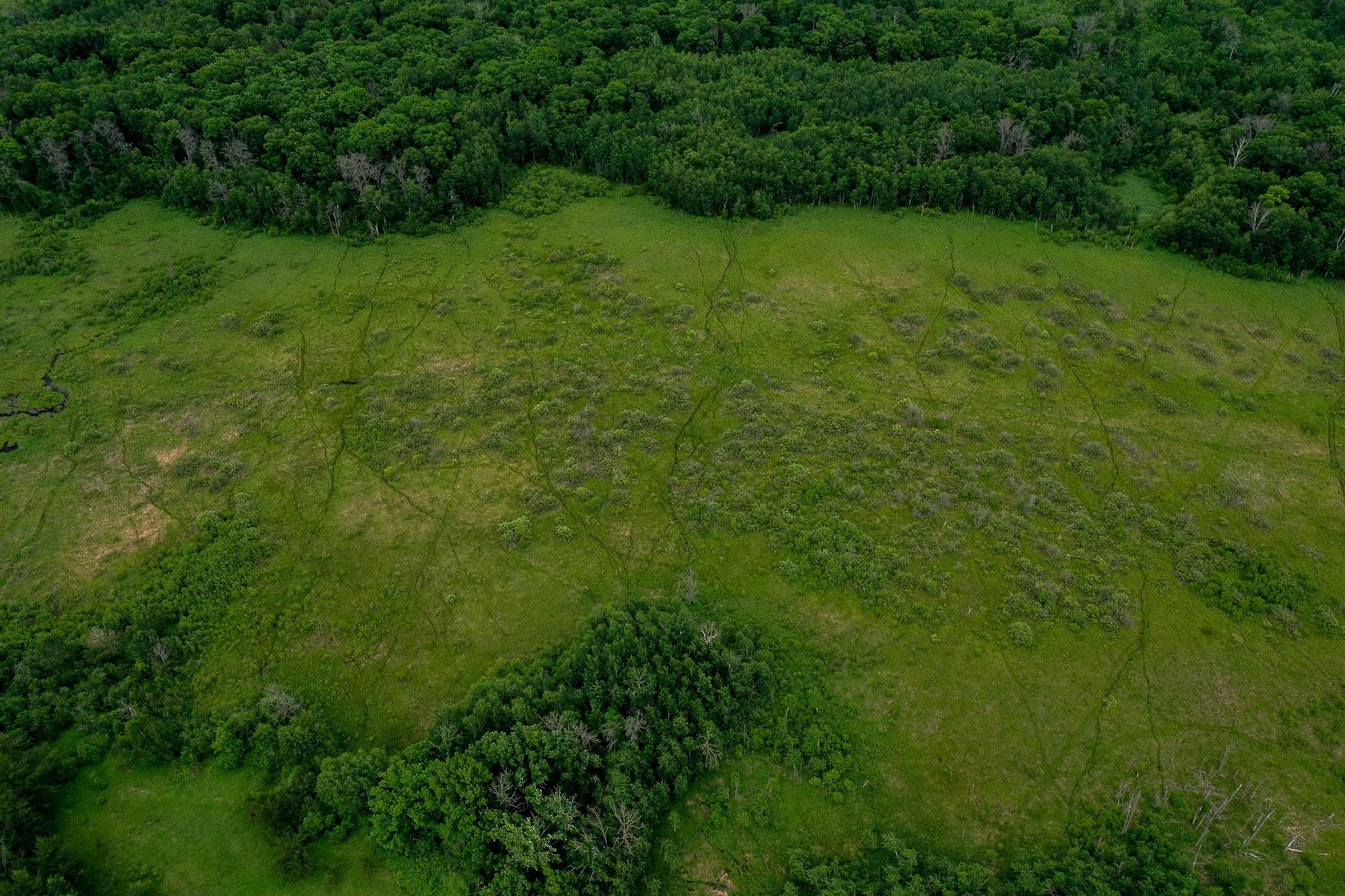 25820 County Road 26 Sebeka, MN 56477 - Photo 8 of 103