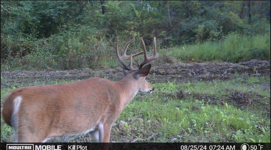 132 Hi Acres Road Greensburg, PA 15601 - Photo 38 of 42